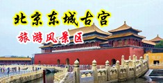 掰开下面舔的视频中国北京-东城古宫旅游风景区